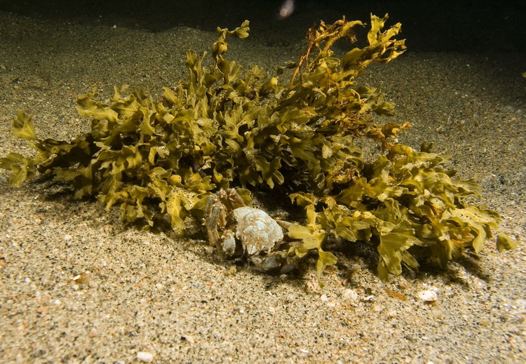 Полярный круг, Нильма, 16 - 18 марта 2007 Полярный круг, Нильма, 16 - 18 марта 2007