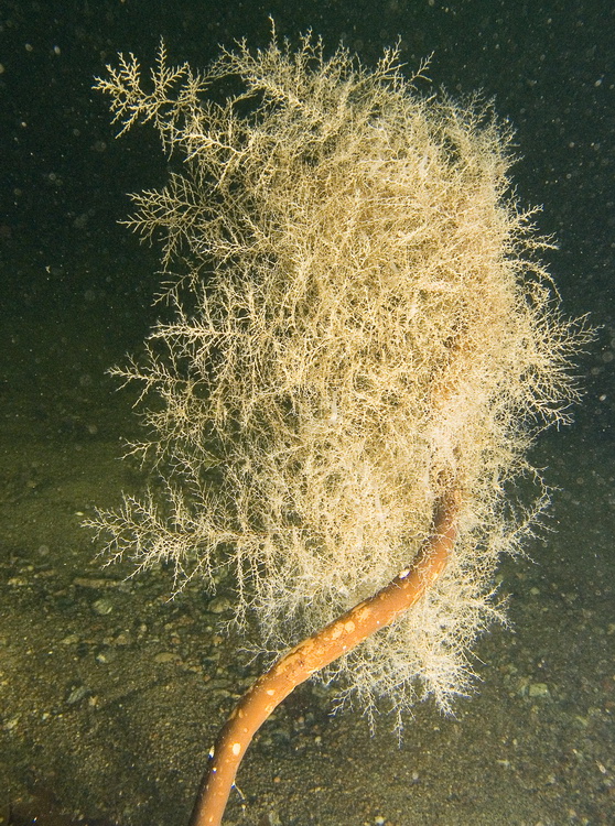 Полярный круг, Нильма, 16 - 18 марта 2007 Полярный круг, Нильма, 16 - 18 марта 2007