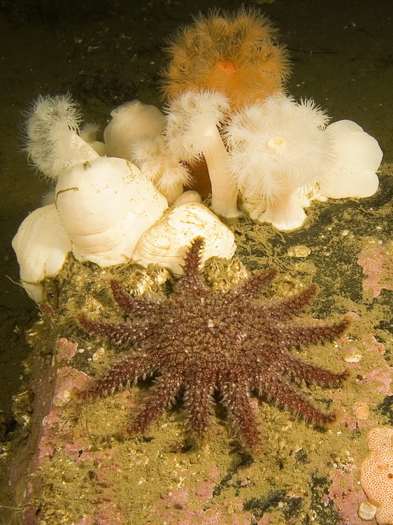 Полярный круг, Нильма, 16 - 18 марта 2007 Полярный круг, Нильма, 16 - 18 марта 2007