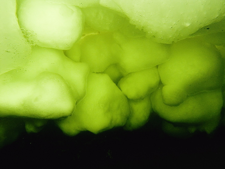 Полярный круг, Нильма, 16 - 18 марта 2007 Полярный круг, Нильма, 16 - 18 марта 2007