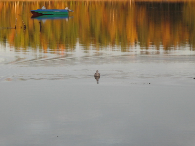22.09.09.Белое море.Чкаловский. 22.09.09.Белое море.Чкаловский.