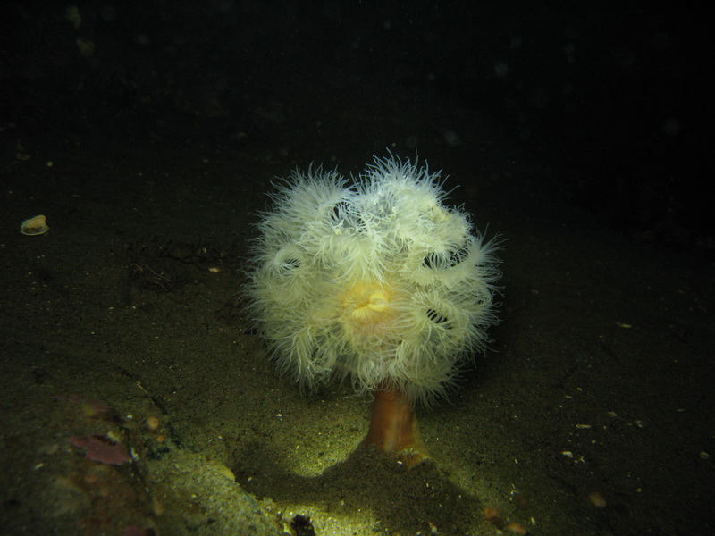 22.09.09. Белое море. 22.09.09. Белое море.