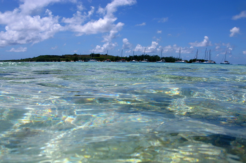 Маврикий Маврикий