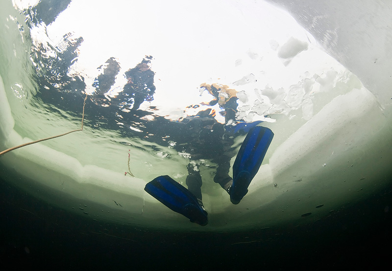 Цвелодубово. 12 - 14 февраля 2010 Цвелодубово. 12 - 14 февраля 2010