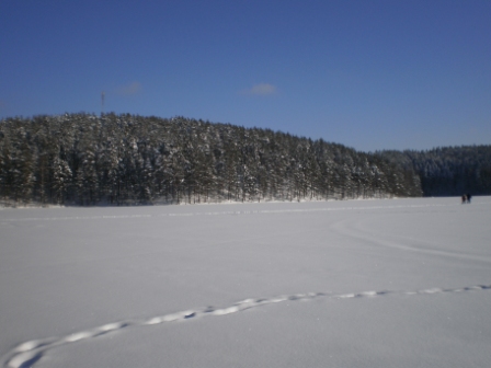 Авроровец на день всех влюбленных Авроровец на день всех влюбленных