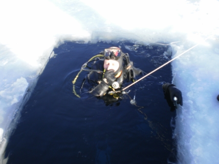 Авроровец на день всех влюбленных Авроровец на день всех влюбленных