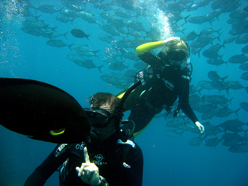 В.А.Докучаев объясняет рыбе,как вести себя под водой=)) В.А.Докучаев объясняет рыбе,как вести себя под водой=))