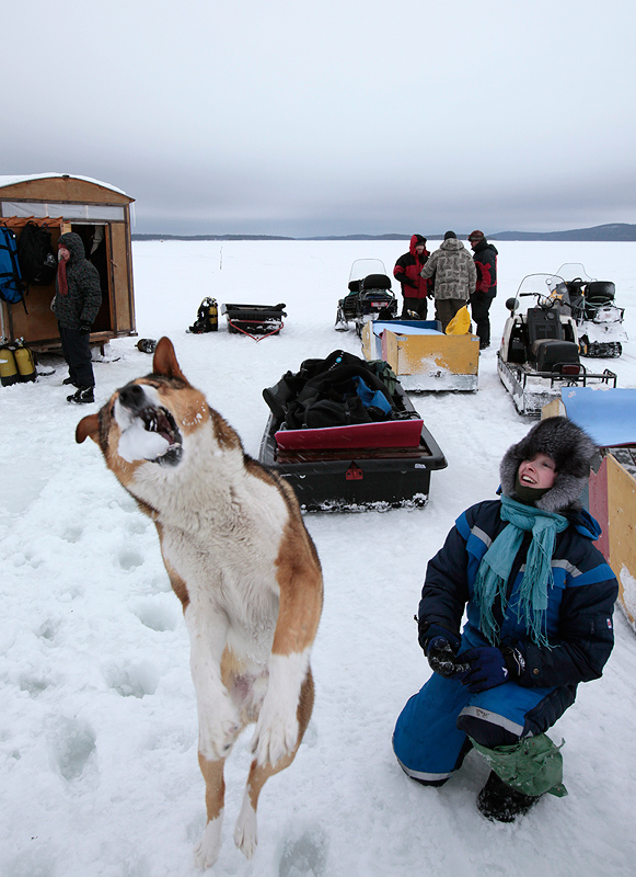 Белое море. Полярный круг. Март 2010 Белое море. Полярный круг. Март 2010
