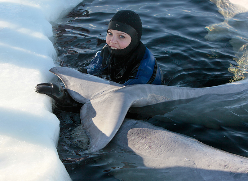 Белое море. Полярный круг. Март 2010 Белое море. Полярный круг. Март 2010