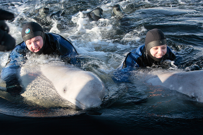 Белое море. Полярный круг. Март 2010 Белое море. Полярный круг. Март 2010