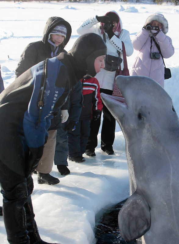 Белое море. Полярный круг. Март 2010 Белое море. Полярный круг. Март 2010