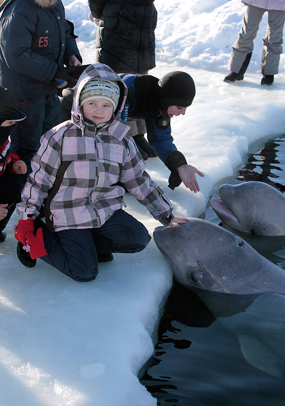 Белое море. Полярный круг. Март 2010 Белое море. Полярный круг. Март 2010