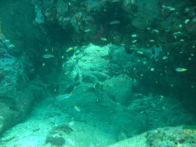 Подводные фото Подводные фото