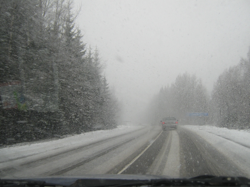 Берестовое 18.04.10 Берестовое 18.04.10