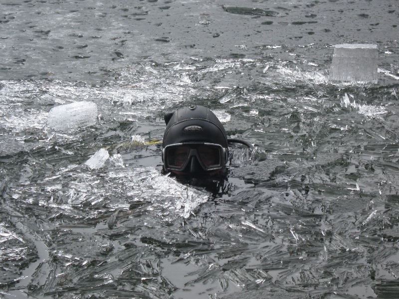 Берестовое 18.04.10 Берестовое 18.04.10