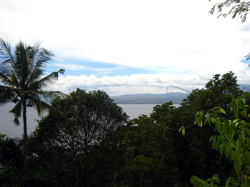 Апо. Полпути к Пику Идиотизма... Апо. Полпути к Пику Идиотизма...