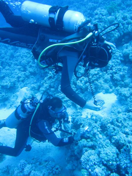 Шарм 04.10 Шарм 04.10