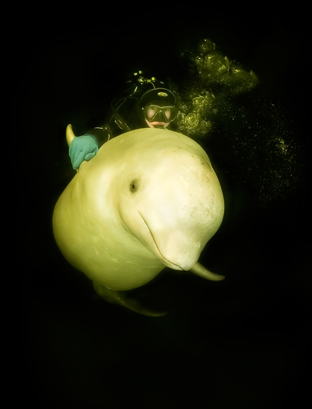 Ane Mengshoel Ane Mengshoel