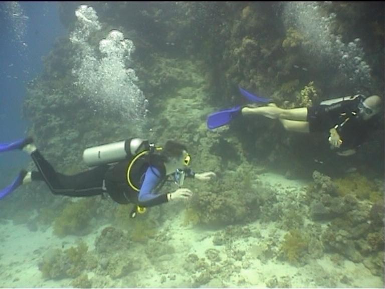 Египет, Хургада. Март 2007 года. Египет, Хургада. Март 2007 года.