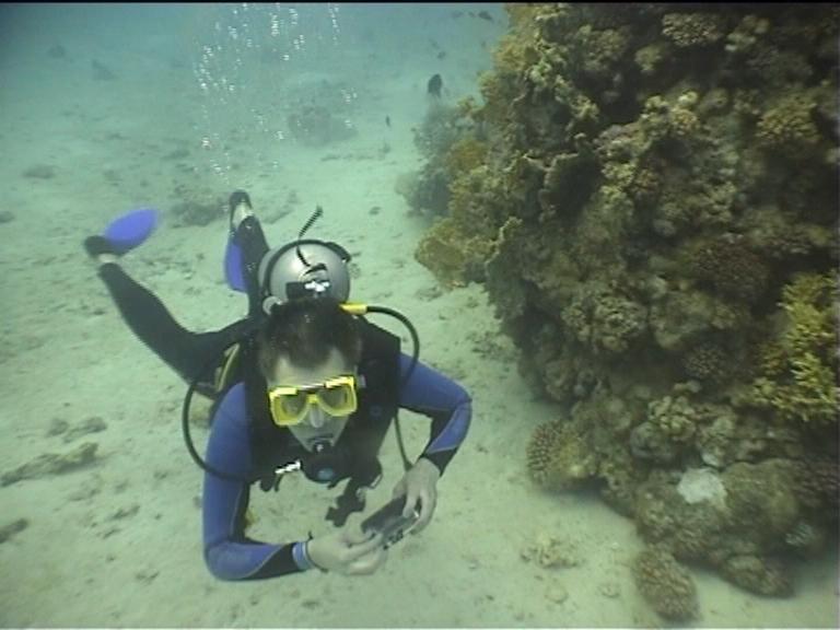 Алексей Синицын Алексей Синицын