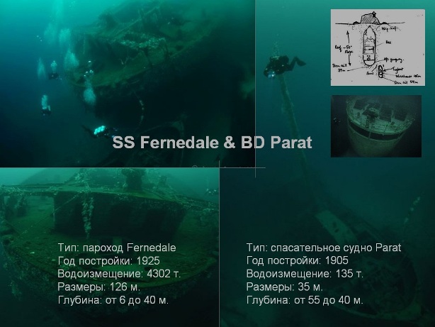 гулен5 гулен5