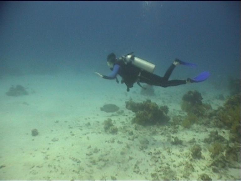 Египет, Хургада. Март 2007 года. Египет, Хургада. Март 2007 года.