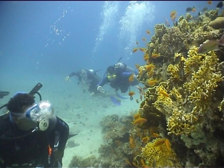 Египет, Хургада. Март 2007 года. Египет, Хургада. Март 2007 года.