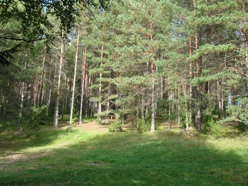 оз.Белое(б.Алоль)2009г. оз.Белое(б.Алоль)2009г.