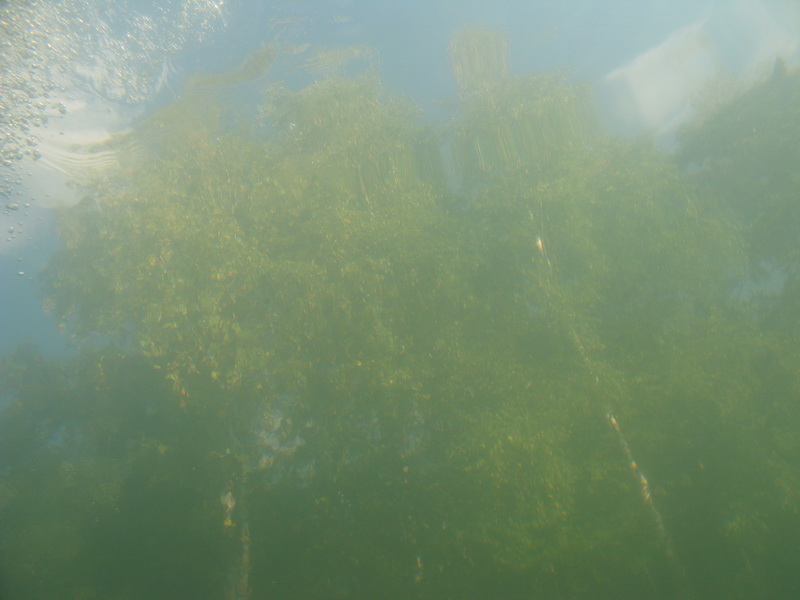 оз.Белое(б.Алоль)12.09.2009г. оз.Белое(б.Алоль)12.09.2009г.