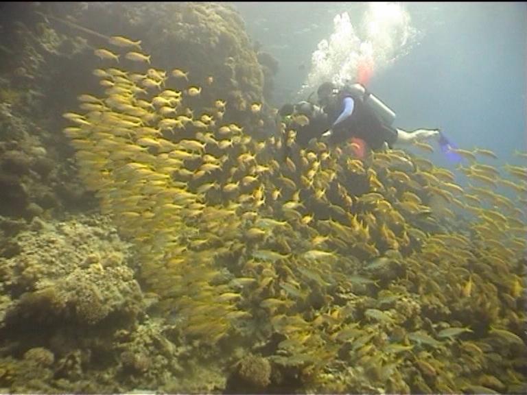 Египет, Хургада. Март 2007 года. Египет, Хургада. Март 2007 года.