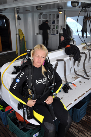 Египет 2010 майское сафари 1 Египет 2010 майское сафари 1