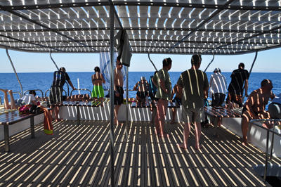 Египет 2010 майское сафари 1 Египет 2010 майское сафари 1