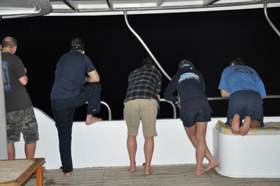 Египет 2010 майское сафари 1 Египет 2010 майское сафари 1