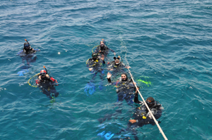 Египет 2010 майское сафари 1 Египет 2010 майское сафари 1