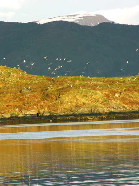 Свежесть после дождя в Стремсхольмене Свежесть после дождя в Стремсхольмене