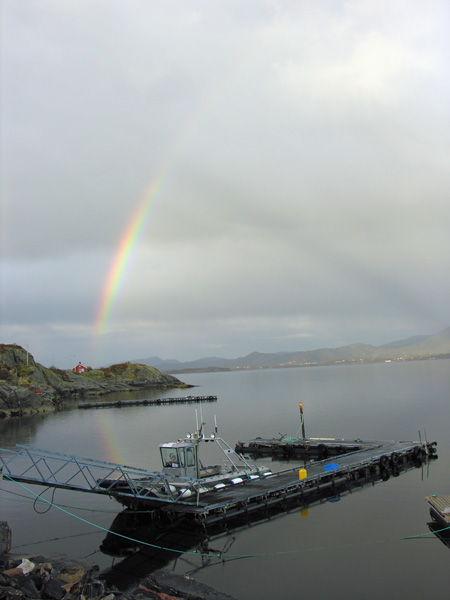 Вторая часть радуги в Стремсхольмене Вторая часть радуги в Стремсхольмене