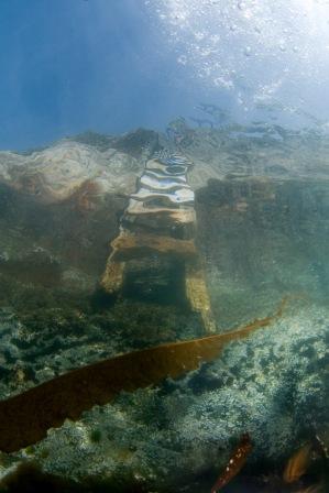 ВОДИЧКА ВОДИЧКА