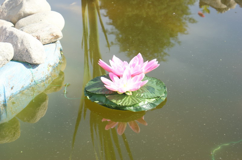 Выезд Барб Дайвер Клуба Выезд Барб Дайвер Клуба