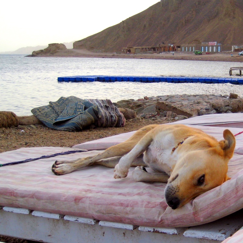 Вечер у Блу-Хола. Вечер у Блу-Хола.