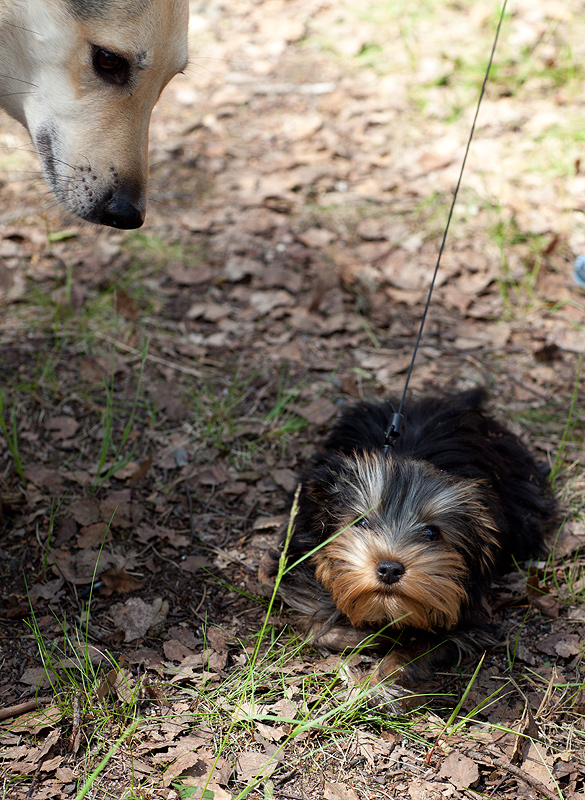 Выезд на озеро Длинное, июнь 2010 Выезд на озеро Длинное, июнь 2010