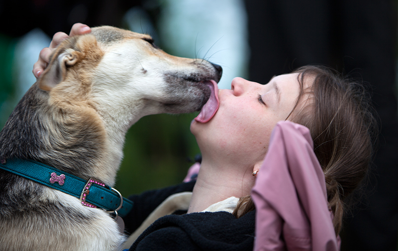 Выезд на озеро Длинное, июнь 2010 Выезд на озеро Длинное, июнь 2010