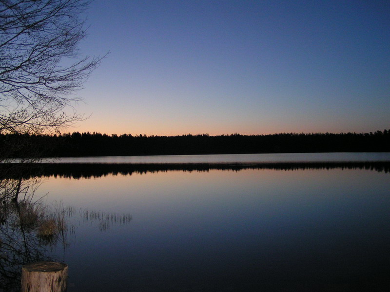 Дожили до рассвета! Дожили до рассвета!