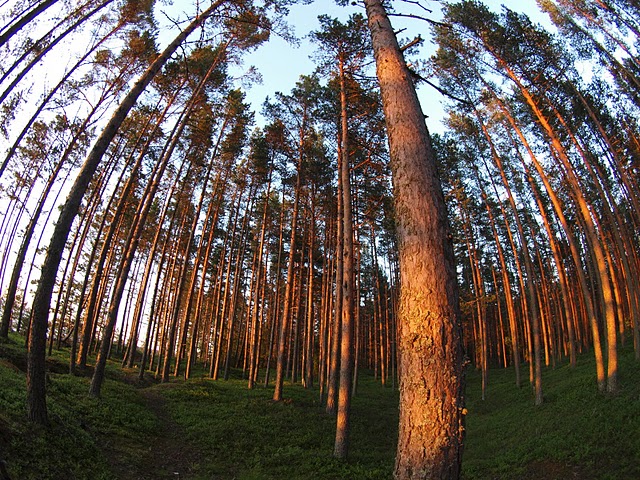 Байк-десант г. Сортавала - о. Путсари - о. Валаам - о. Лембач - о. Сухой - о. Коневец - г. Приозерск Байк-десант г. Сортавала - о. Путсари - о. Валаам - о. Лембач - о. Сухой - о. Коневец - г. Приозерск