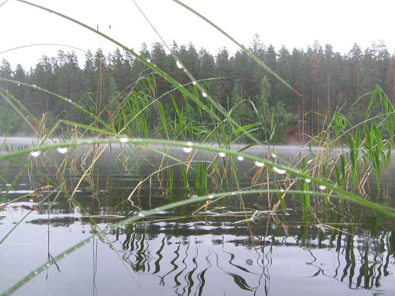 Ягодное, 24-07-2010 Ягодное, 24-07-2010