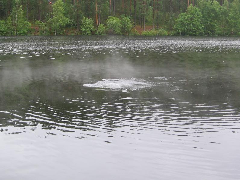 Ягодное, 24-07-2010 Ягодное, 24-07-2010