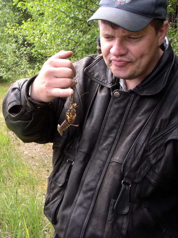 Николай Енотов Николай Енотов