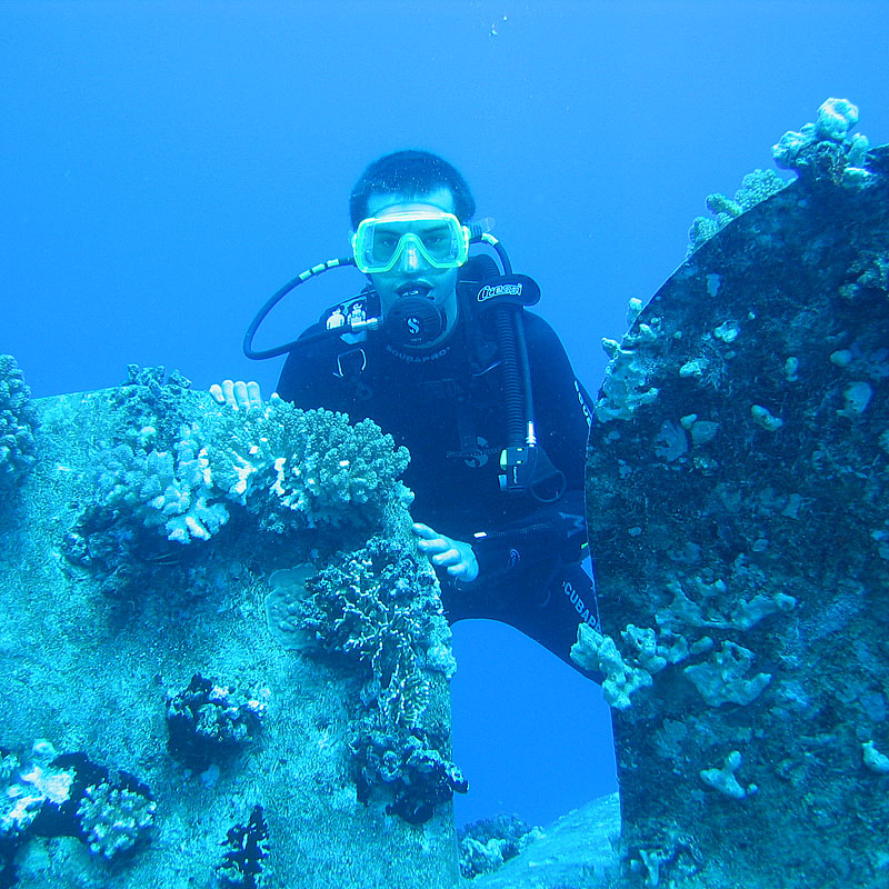 У гребного винта "Салем Экспресса" У гребного винта "Салем Экспресса"