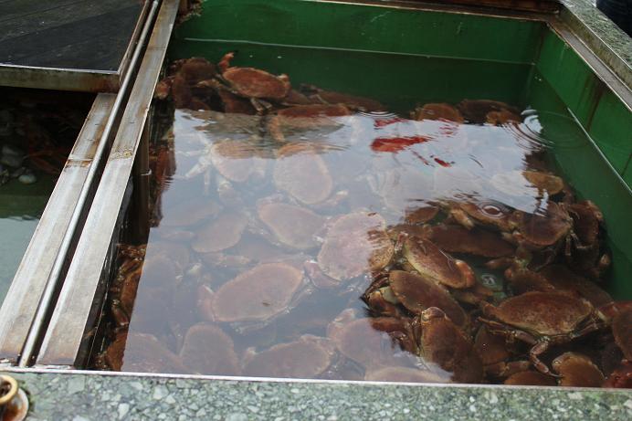 Норвегия 2010 Норвегия 2010