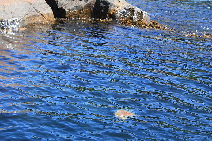 Норвегия 2010 Норвегия 2010