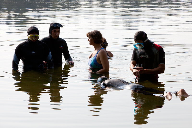Курсы фридайвинга на озере Комонь Курсы фридайвинга на озере Комонь